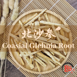 COASIAL GLEHNIA ROOT 北沙参 (100g)