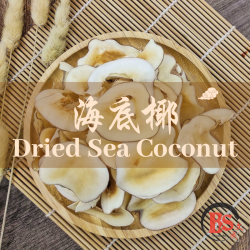 DRIED SEA COCONUT 海底椰 (100g) DRIED SEA COCONUT 海底椰 (100g)