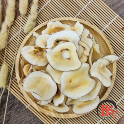DRIED SEA COCONUT 海底椰 (100g) DRIED SEA COCONUT 海底椰 (100g)
