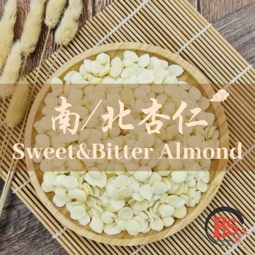 BITTER ALMOND 北杏仁 (100g)