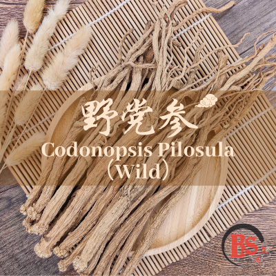 WILD CODONOPSIS PILOSULA 野党参 (200g)