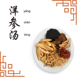 GINSENG ROOT HERBAL SOUP 洋参汤 